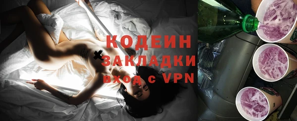 гашик Алексин