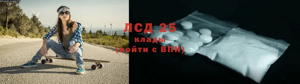 крисы Алзамай