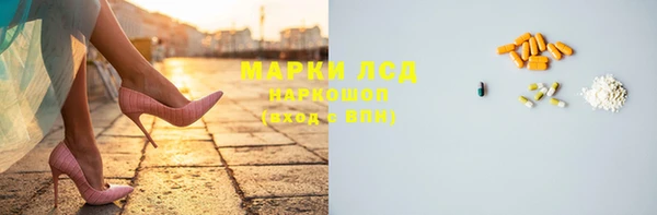 гашик Алексин