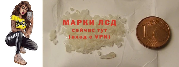 гашик Алексин