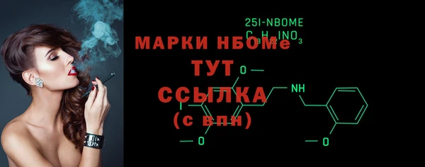 гашик Алексин
