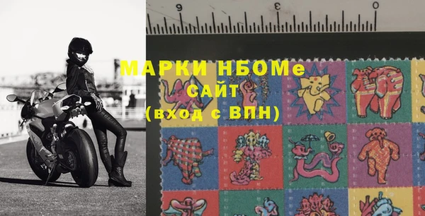 гашик Алексин