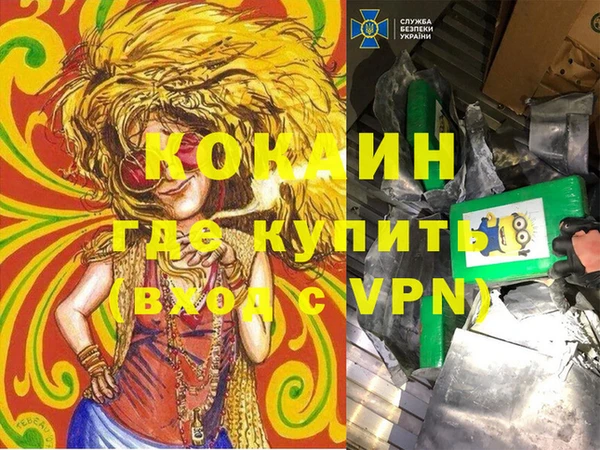 гашик Алексин