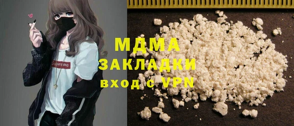 гашик Алексин