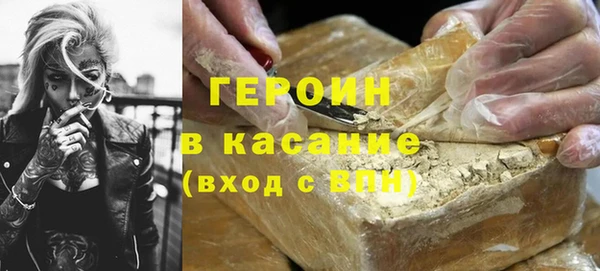 гашик Алексин