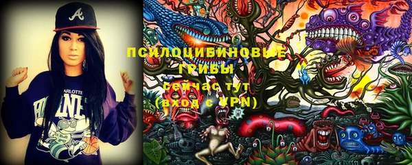 крисы Алзамай